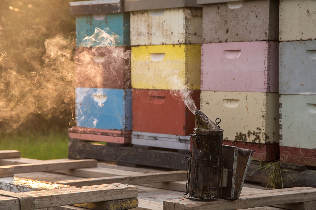 Services to Beekeepers Alberta Beekeepers Commission